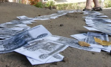 В Воронежской области работали три «пирамиды», обманувшие россиян на 700 млн руб