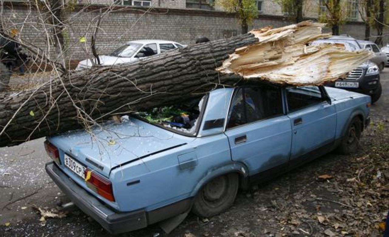 На улице Дружинников дерево упало на проезжую часть, повредив четыре машины