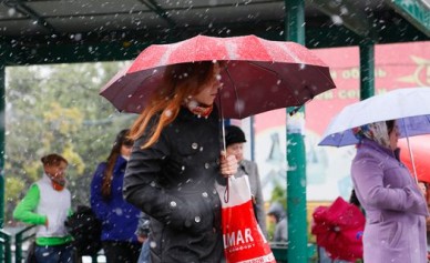К концу недели в Воронеже ожидается снег