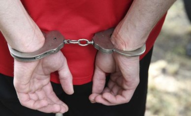 В Воронежской области мужчина убил брата, внезапно приехавшего в гости