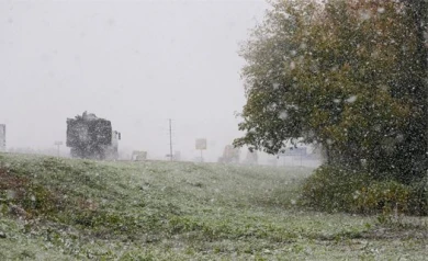 Воронежцев ждёт экстремальный четверг с метелью, гололедицей и ветром до 19 м/с