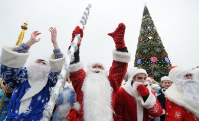 Главную новогоднюю ёлку Воронежа начнут монтировать через три дня