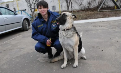 Собака лучшего воронежского кинолога на глазах корреспондентов «Ё!» отыскала взрывчатку за пару минут
