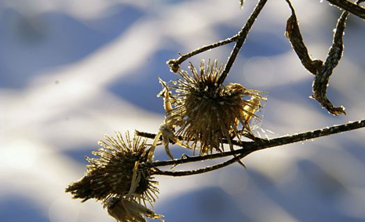 Фото из архива "МОЁ!"