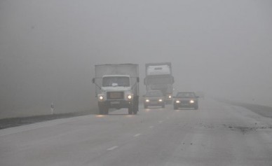 В Семилукском районе начался переполох из-за разбросанных вдоль трассы кусков, п...