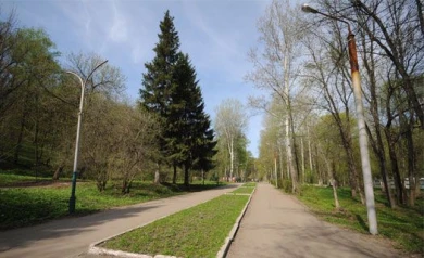 Воронежская прокуратура добилась демонтажа подстанции в парке «Динамо»