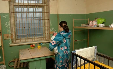 Скандал с материнским капиталом не коснулся Воронежа