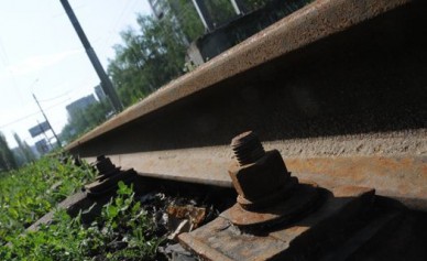 Поезд Санкт-Петербург — Воронеж полтора часа простоял в Подмосковье из-за повреж...