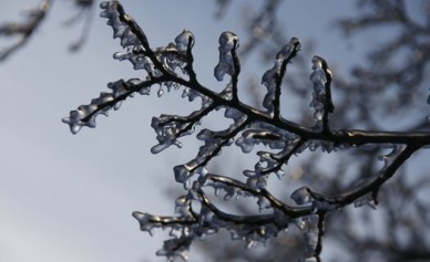 В Воронеж в ближайшие дни придёт настоящая зима