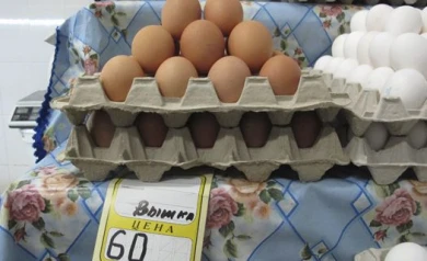 Статистика: воронежцу на питание в месяц достаточно 2 583 рубля