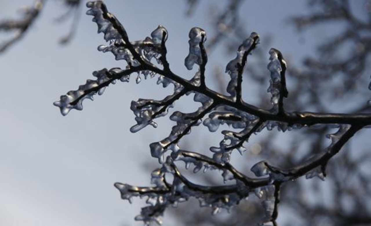 Синоптики: морозы в Воронеже продержатся до среды