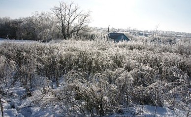 Синоптики: Ближайшей ночью в Воронежской области будет 35 градусов мороза