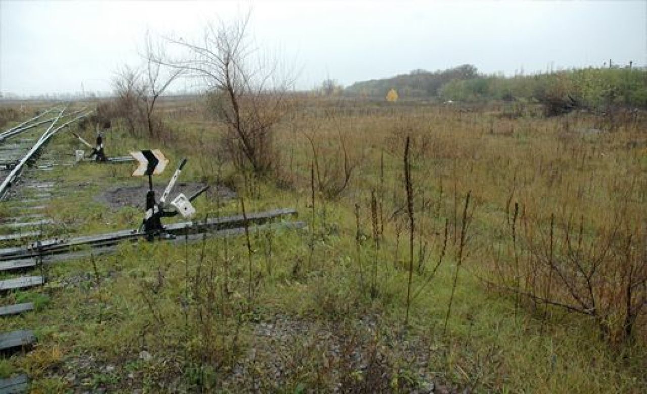 В Воронежской области обнаружилось 4 тыс. га невостребованных земель