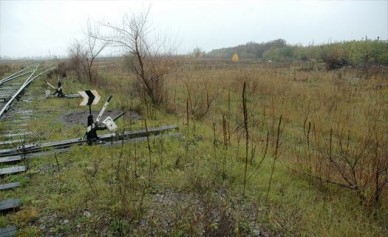 В Воронежской области обнаружилось 4 тыс. га невостребованных земель