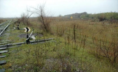 В Воронежской области обнаружилось 4 тыс. га невостребованных земель