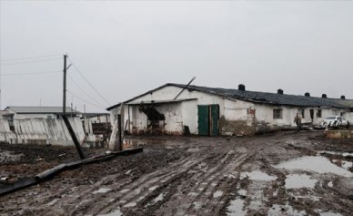 В Воронежской области судебным приставам пришлось арестовать целую ферму