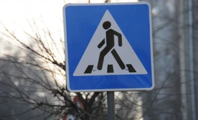 8 марта в Воронеже «Шкода» сбила двух школьников