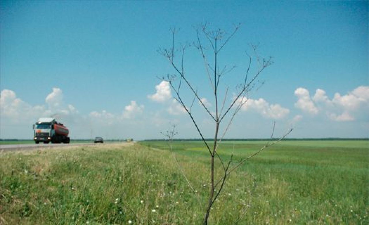 Фото из архива "МОЁ!"