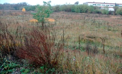 В пригороде Воронежа участок земли с помощью поддельных документов перешёл в частные руки