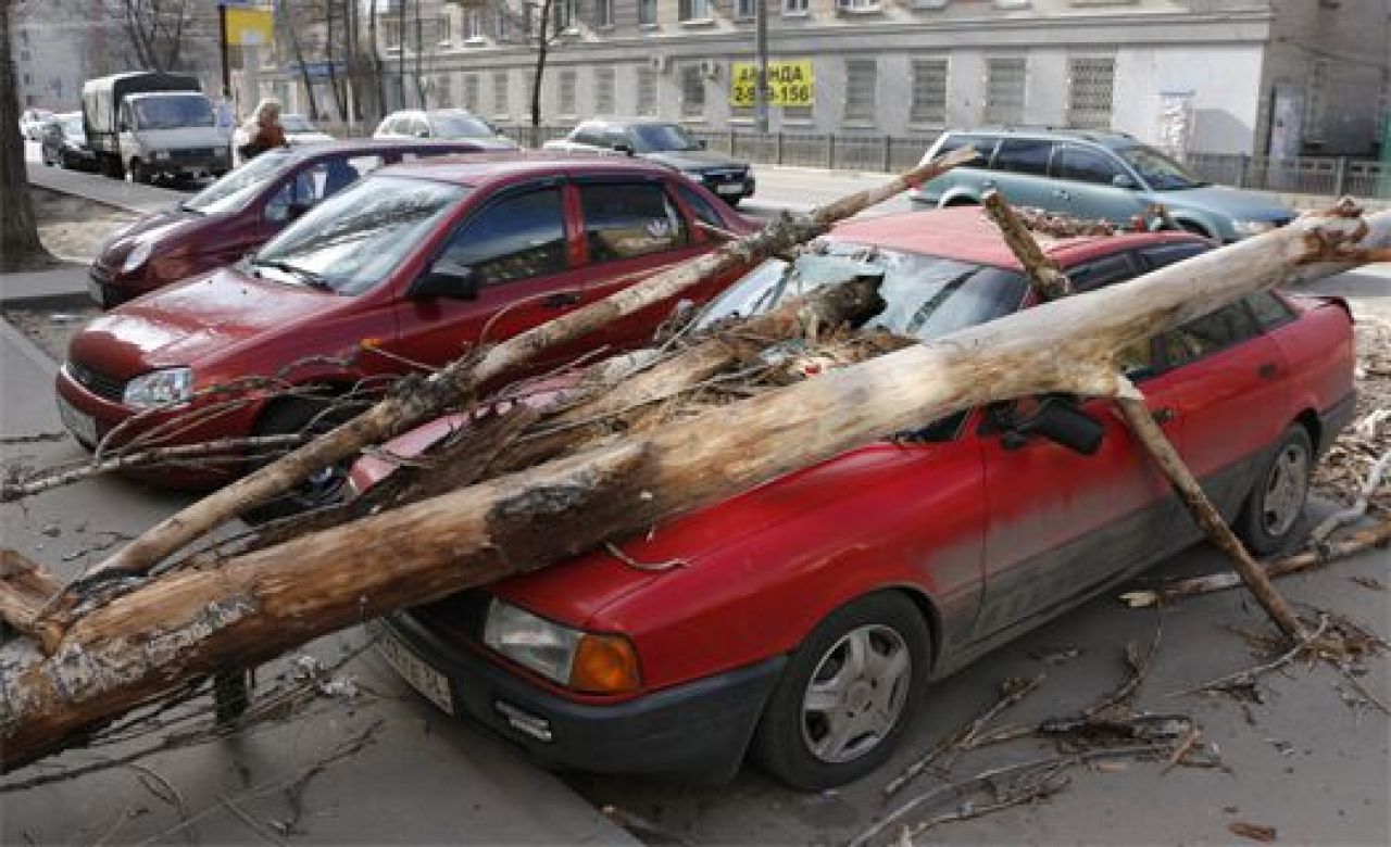 На улице Краснознаменной дерево упало на припаркованную машину