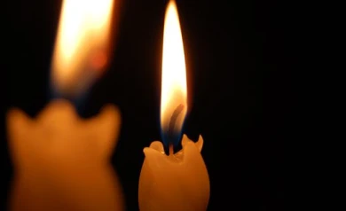 Из-за повреждения кабеля в Воронеже «Час Земли» затянулся на 10 часов