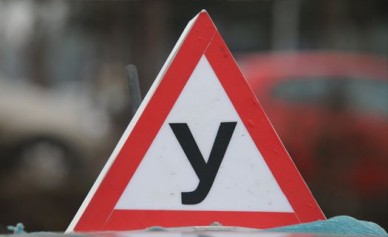 В Воронеже предложили обязать старшеклассников учиться на водительские права