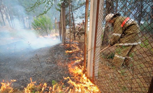 В Воронеже объявляется особый противопожарный режим