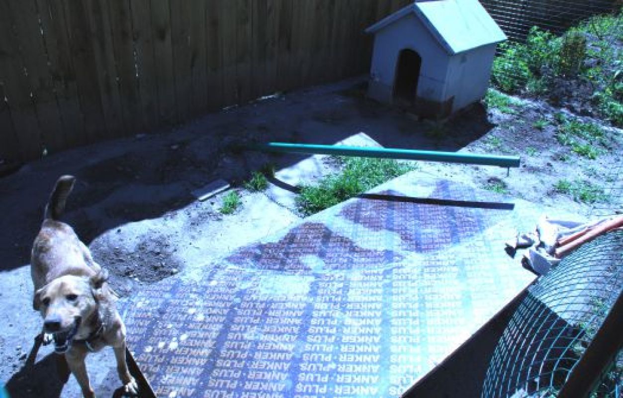 Плита, упавшая на вольер