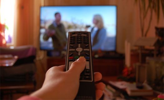 На воронежскую семью в среднем приходится полтора телевизора и 2,5 мобильного телефона