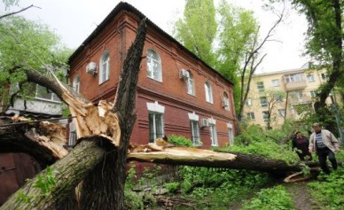 На жилой дом в центре Воронежа упало дерево