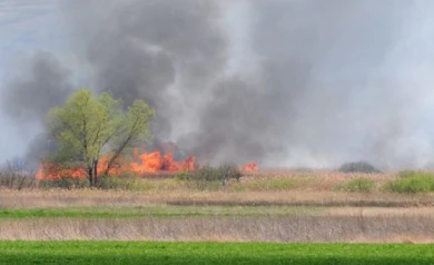 Утренний смог в Воронеже связали с пожаром на мусорке