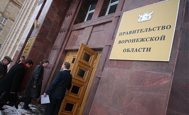 Воронежцы просят Алексея Гордеева спасти сотни деревьев возле федеральной трассы