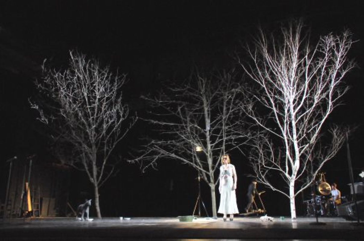 Московские артисты довели воронежцев до слез и вызвали мурашки