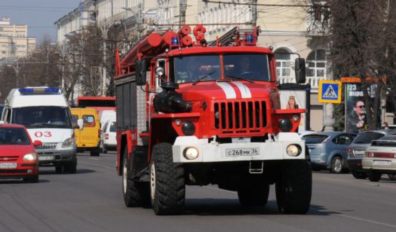 Фото из архива "МОЁ!"