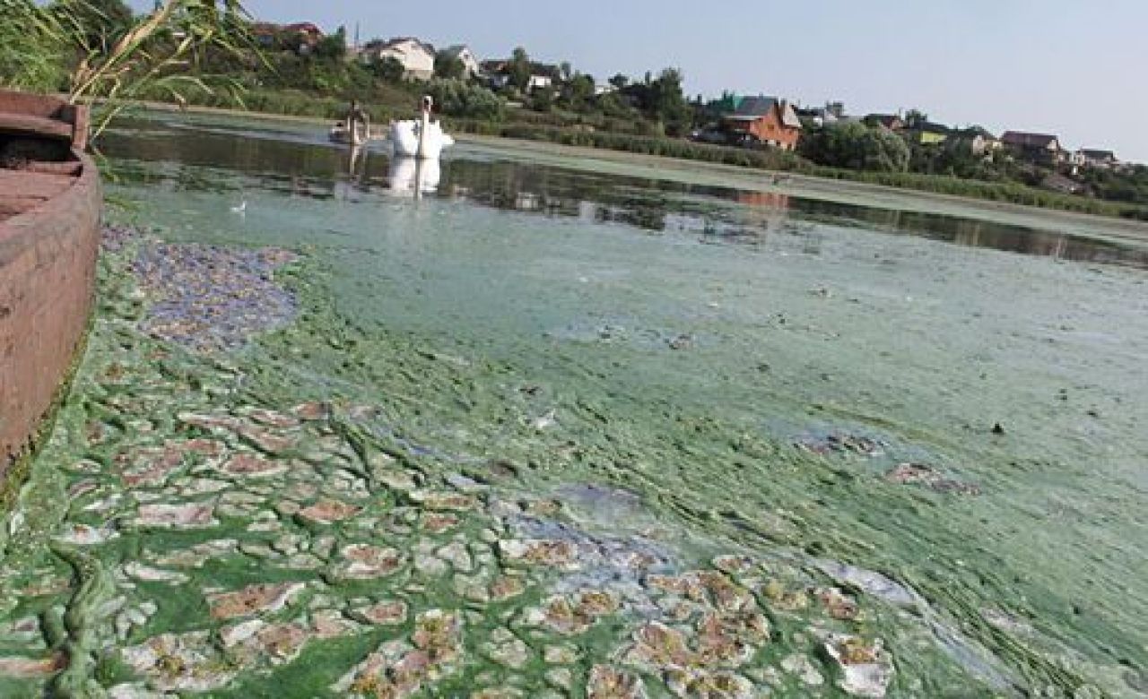 Фото из архива «Ё!»