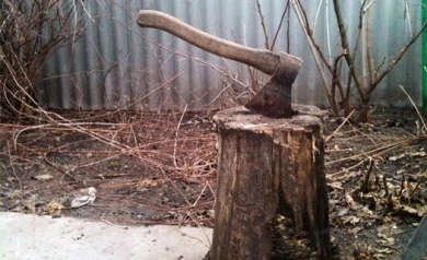 В Воронежской области 89-летний пенсионер едва не убил топором надоевшую супругу