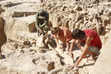 Из музея-заповедника «Костёнки» планируют сделать крупный туристический комплекс