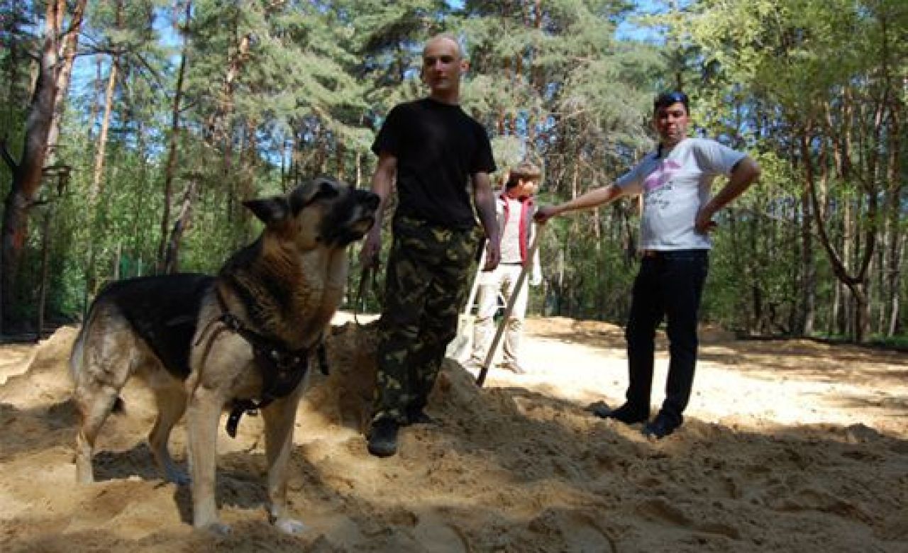 Площадка для выгула собак в парке "Оптимист"