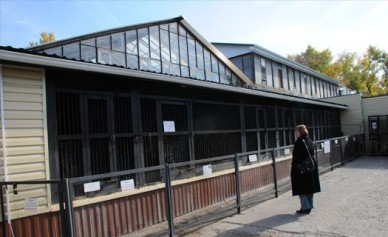 Директор воронежского зоопарка рассказал, почему для горожан ограничат вход в па...