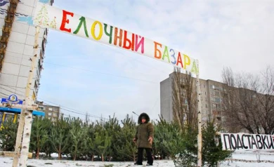 В Воронеже в этом году откроют 63 ёлочных базара