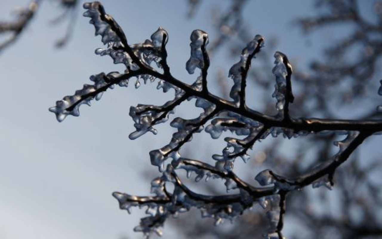 Синоптики: "В Воронеже наступила климатическая зима"