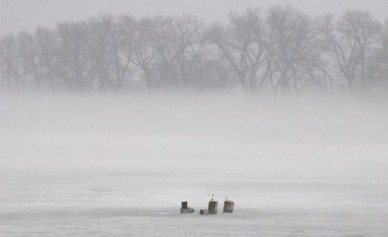 На Воронежском водохранилище едва не утонули пятеро детей