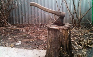 В Воронежской области парень зарубил топором соседскую семью