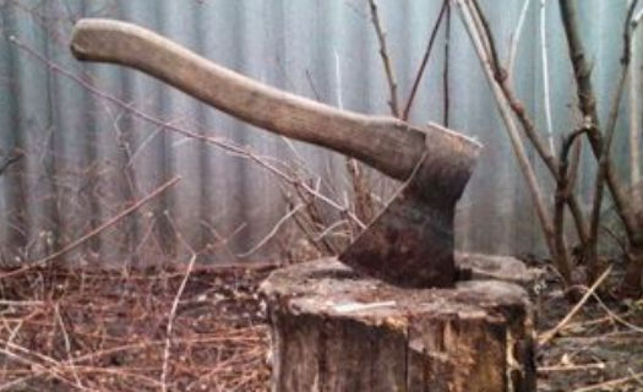 Мужчина, зарубивший топором соседскую семью, перед убийством обращался к психиатру