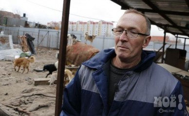 Владелец воронежского приюта для собак просит помощи у Брижит Бордо и Кадырова