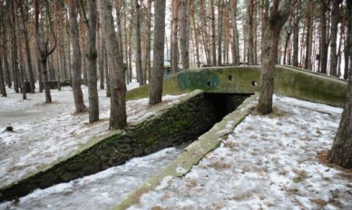 Похищенного воронежца ограбили и избили в лесу