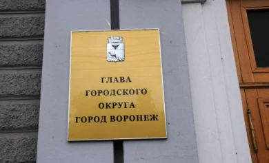 Мэрия Воронежа планирует уменьшить штат на 5%