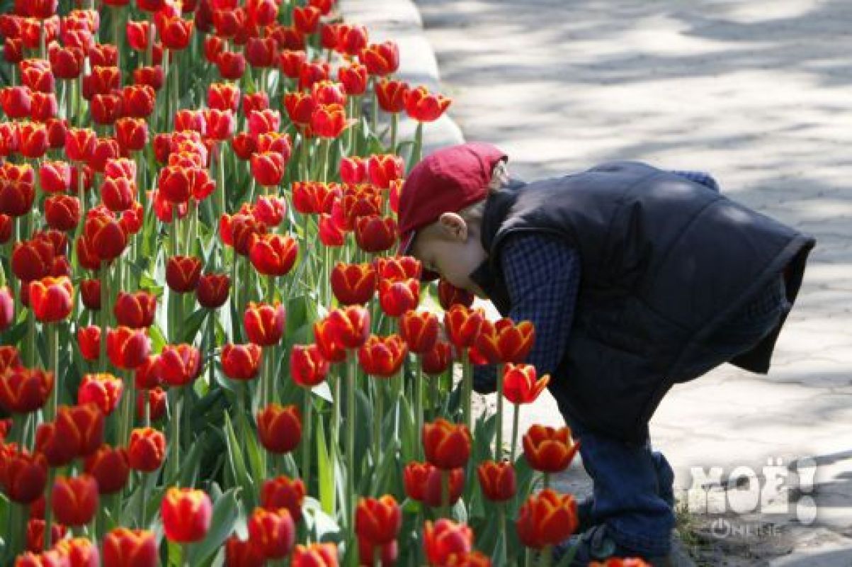 Воронежцев ждет целая неделя теплой и сухой погоды