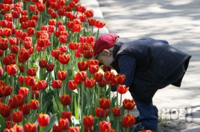 Воронежцев ждет целая неделя теплой и сухой погоды