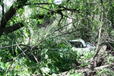 Последствия стихии в Воронеже: подмытое дерево упало на 5 машин